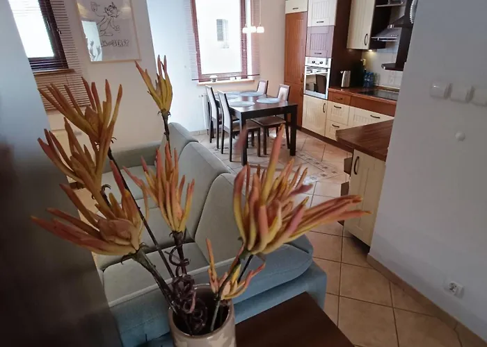 Tom & Jerry Apartment